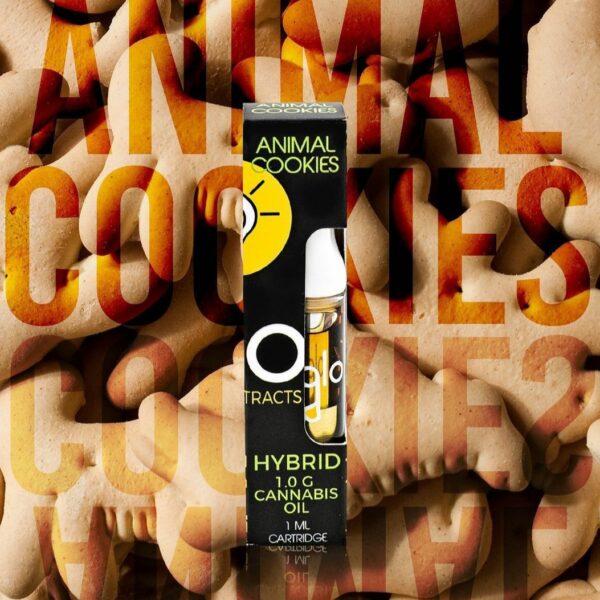 Animal Cookies