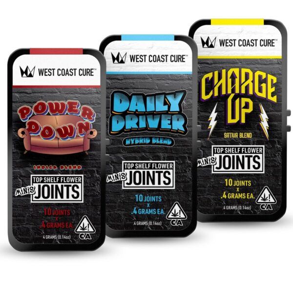 MINIS 10 PACK