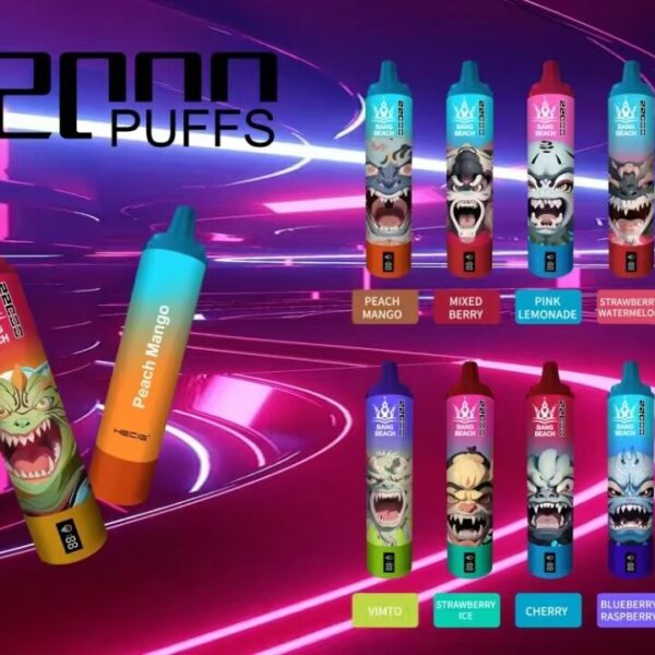Bang Beach 22000 Puff Disposable Vape Wholesale