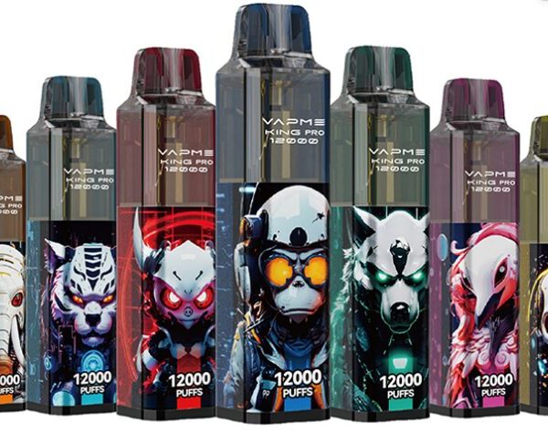 VAPME KING PRO 12000 Disposable Wholesale: Superior Capacity, Extended Battery Life, Diverse Flavors & Excellent Market Value