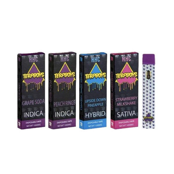 Terpboys HHC Disposable Vape 1G: 1000mg Hemp-Derived HHC with Ceramic Coil and Flavorful Cannabis-Derived Terpenes